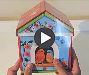 Play Video